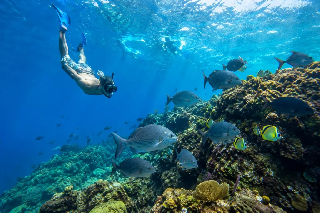 Snorkelers exploring a coral reef at Caño Island Biological Reserve, Costa Rica