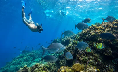Snorkelers exploring a coral reef at Caño Island Biological Reserve, Costa Rica
