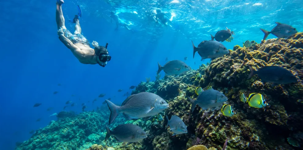Snorkelers exploring a coral reef at Caño Island Biological Reserve, Costa Rica