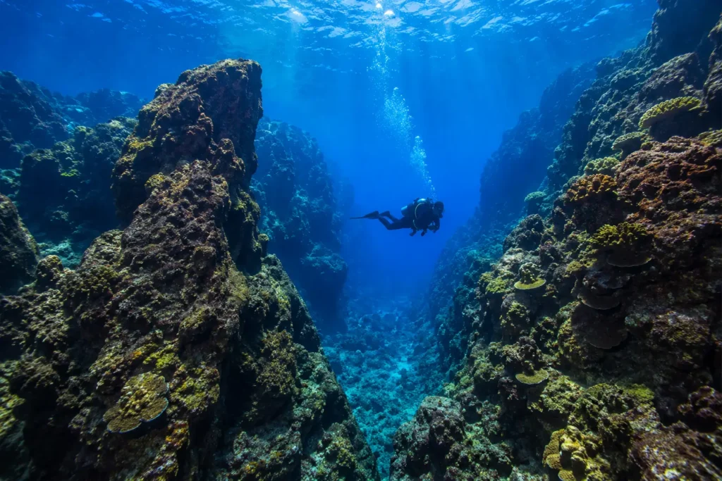 Scuba diver exploring underwater rock formations at Caño Island Biological Reserve near Drake Bay, Costa Rica