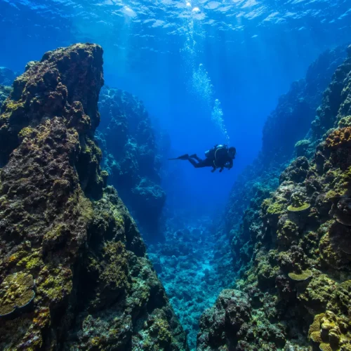 Scuba diver exploring underwater rock formations at Caño Island Biological Reserve near Drake Bay, Costa Rica