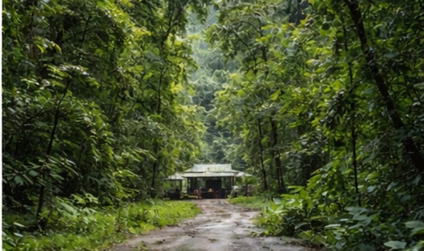 Best Time to Visit Drake Bay and Corcovado