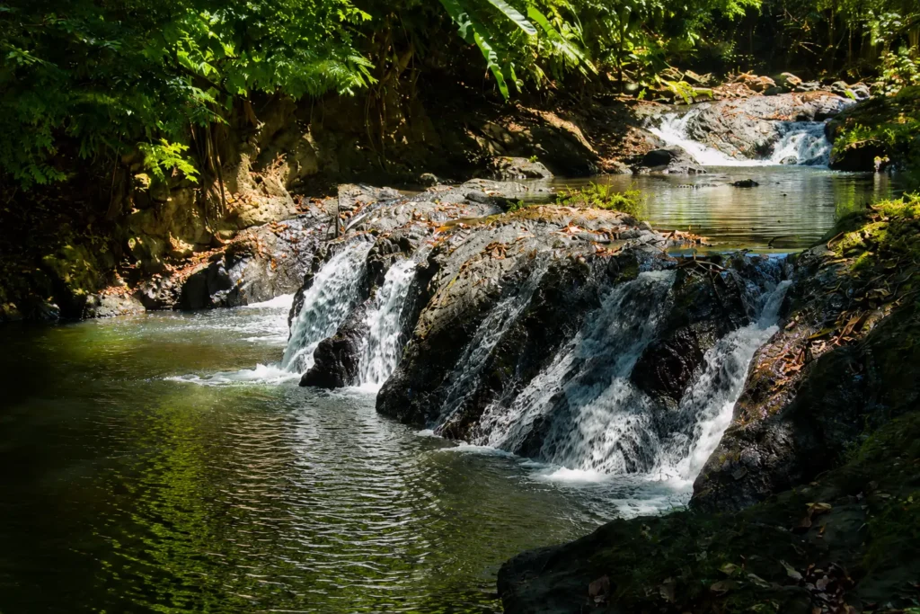 Waterfall and natural pool in the San Pedrillo sector of Corcovado National Park