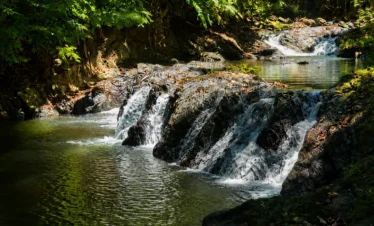 Waterfall and natural pool in the San Pedrillo sector of Corcovado National Park