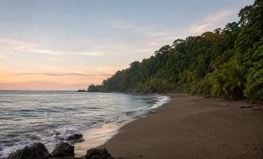 Wild beach in the San Pedrillo sector of Corcovado National Park on Costa Rica's Pacific coast