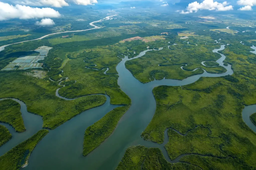 Aerial view of the Sierpe mangrove wetlands and winding river channels near Drake Bay, Costa Rica