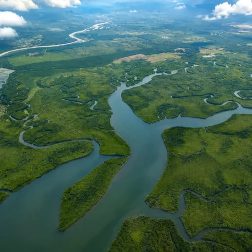 Aerial view of the Sierpe mangrove wetlands and winding river channels near Drake Bay, Costa Rica