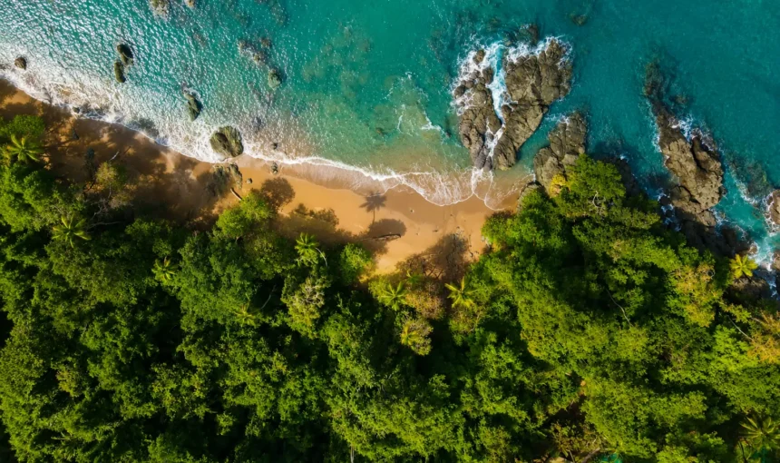 12 Best Things to Do in Drake Bay, Costa Rica