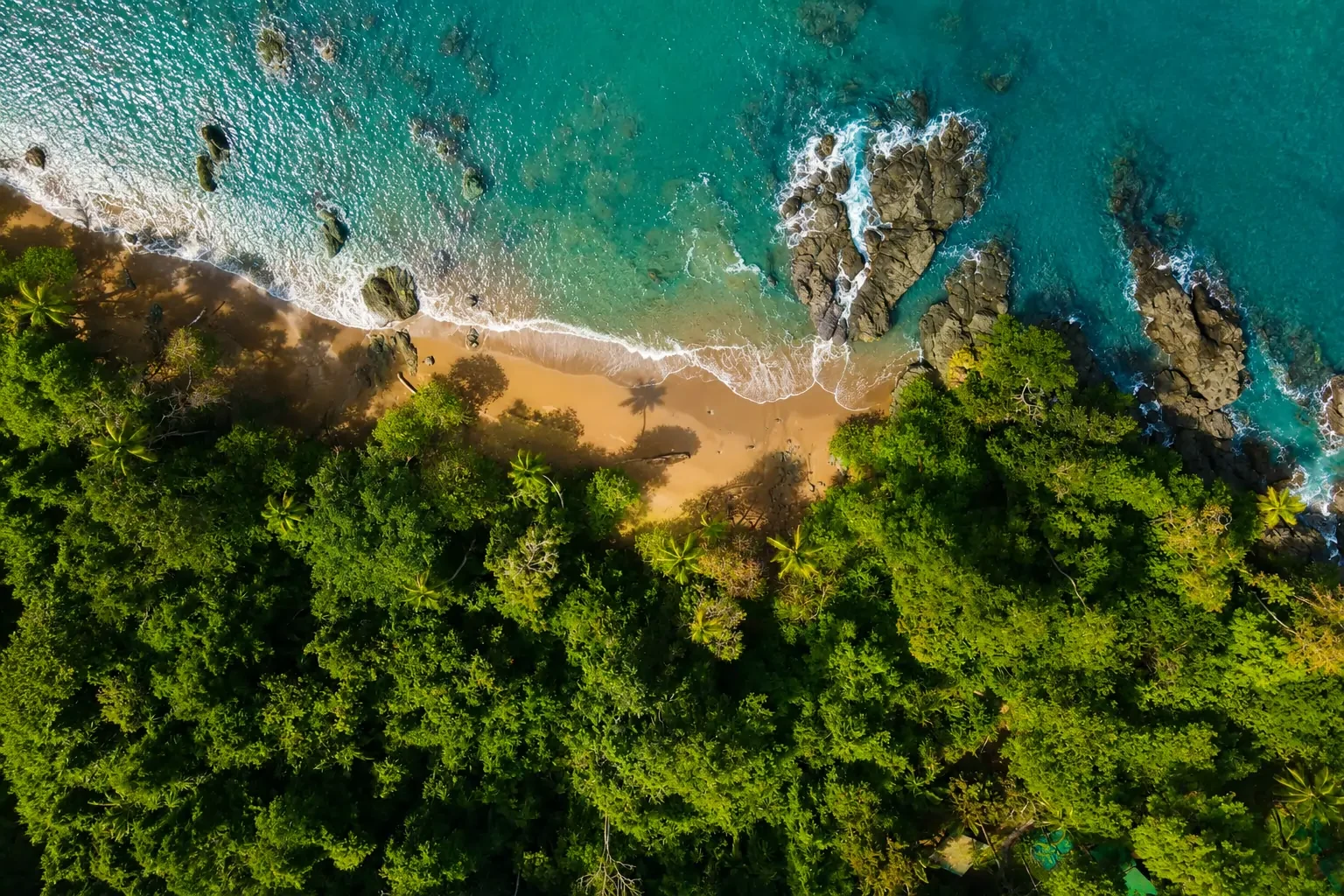 Aerial view of the rainforest coastline in Drake Bay, Costa Rica